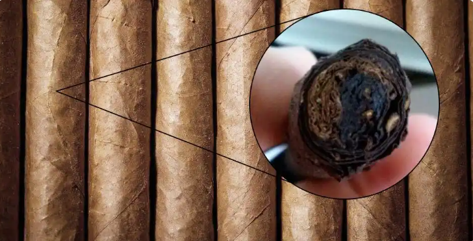 burning cigar