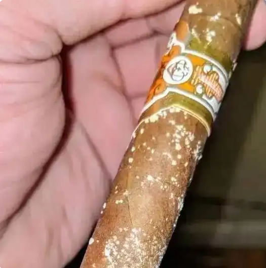 baidiancigar