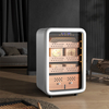  CS450the White Small Arc-shaped Cigar Cabinet 145 liters put 800 cigars